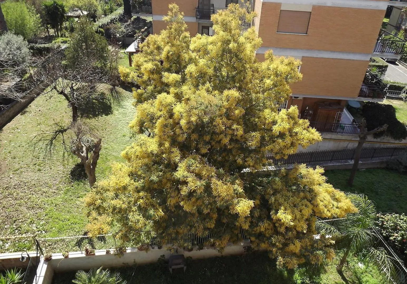 Gilda Vacanze Metro Battistini Apartment Rome